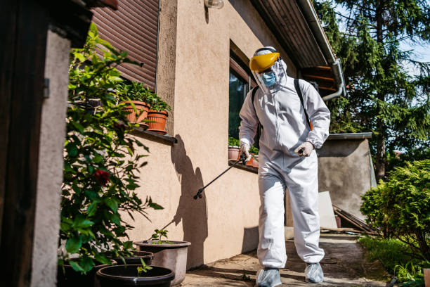 Best Affordable Pest Control Services  in De Soto, MO