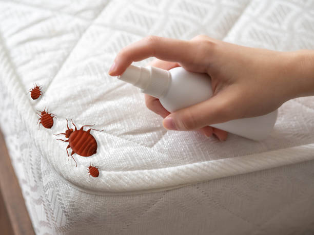 Best Exterminator Services  in De Soto, MO