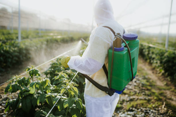 Best Cockroach Control Services  in De Soto, MO